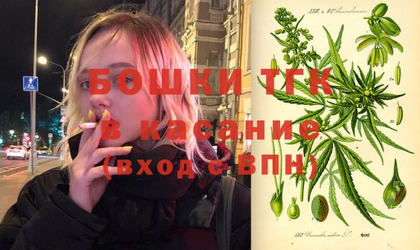 мяу мяу мука Алзамай