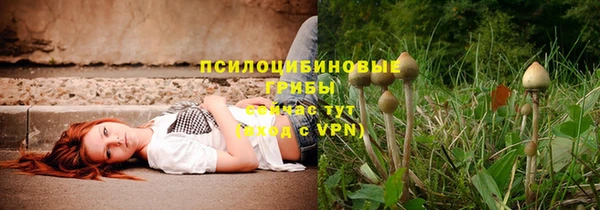 мяу мяу мука Алзамай