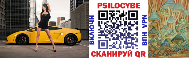 Галлюциногенные грибы Psilocybine cubensis  Чёрмоз 